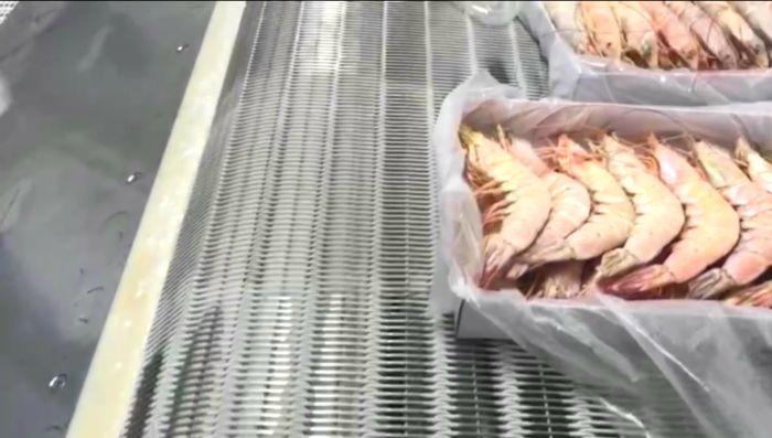 關(guān)西冷凍網(wǎng)帶中線圈式輸送帶可用來(lái)速凍大蝦